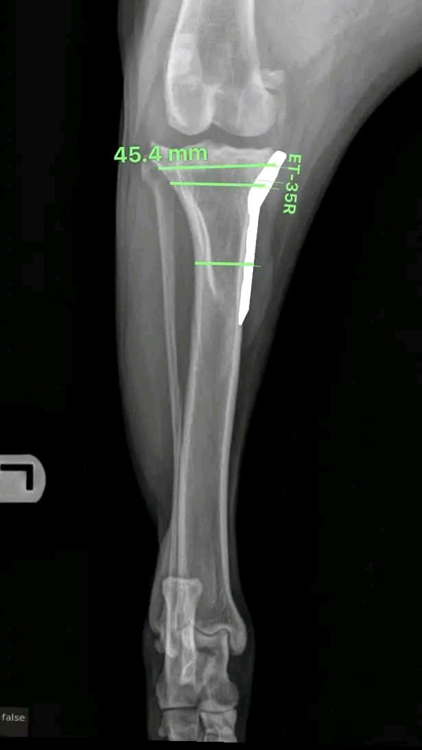 Bệnh viện Thú Y Gia Kiệm - Hình 10